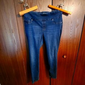 Lee Sculpting Skinny Jeans 20W